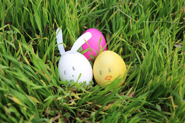 easter eggs decorated as rabbit and chiken