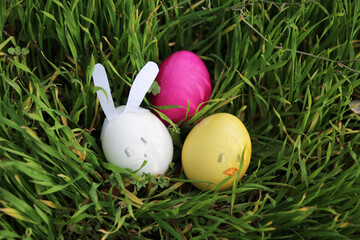 easter eggs decorated as rabbit and chiken