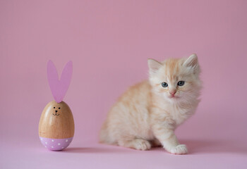 Easter concept scene with little ginger kitten.Pink background