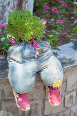 original plant pot from old children's jeans trousers. Scenery in a summer cafe. Reuse of products,...