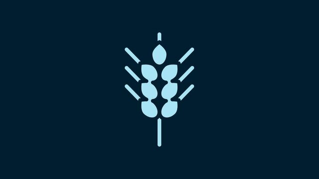 White Cereals set with rice, wheat, corn, oats, rye, barley icon isolated on blue background. Ears of wheat bread symbols. 4K Video motion graphic animation