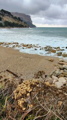 CASSIS (Bouches du Rhône)