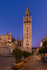 Fototapeta na wymiar The tower of the Giralda Cathedral in the city centre of the Seville during blue hour and sunrise, with the iconic orange fruit trees and the awesome ornaments on the facade of the church.