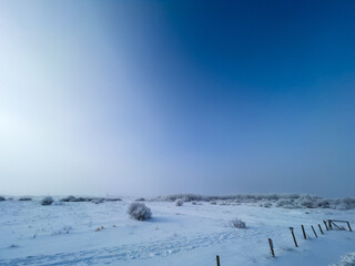 winter fog over prairie field