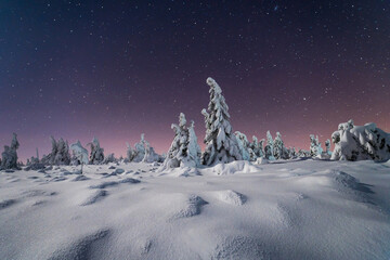 Snowy winter night in mountains