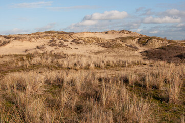 Sand dunes of the North Sea in winter, the province of South Holland. Landscape. View of the sand dunes.