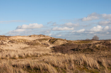 Sand dunes of the North Sea in winter, the province of South Holland. Landscape. View of the sand dunes.