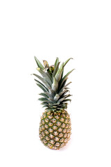 Single pineapple isolated on white background. Pineapple fruit whole. Pineapple Clipping Path.