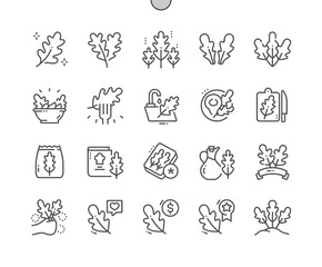 Fototapeta premium Arugula leaf. Nature vegetable organic food nutrition. Cooking, recipes and price. Pixel Perfect Vector Thin Line Icons. Simple Minimal Pictogram