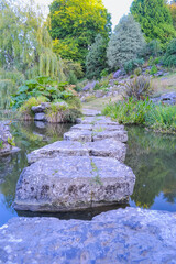 Fototapeta premium View of the pond with a stone path