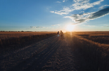 A young newlyweds couple in love is walking holding hands to meet the sunset. Silhouette of a guy with a guitar who leads his girlfriend along road between wheat fields. Country. View from the back.