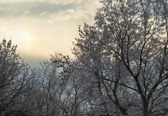 Sunrise on a frosty morning 
