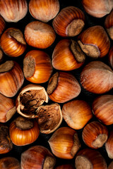 organic hazelnut on the dark background