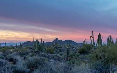 Sunrise Skies In North Scottsdale AZ Desert Preserve