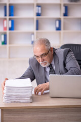 Old male employee working in the office