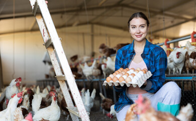 Adult experienced european woman picking eggs and puts them on trays in chicken farm.