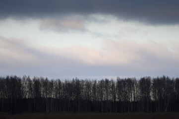 Dark gloomy sunset over a row of dark trees