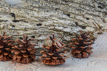 Garden snail sits on a pine cone on an abstract background of the bark of a tree.	