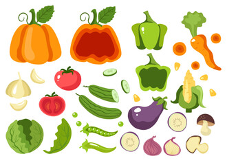 Vegetable vegetarian vegan food salad summer banner poster concept. Vector design graphic illustration