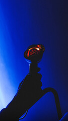 silhouette of a person holding a gas pump