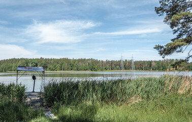 Overgrown reeds and a gazebo for fishing in a forest lake.