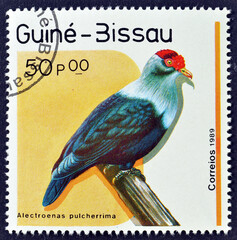 Cancelled postage stamp printed by Guinea Bissau, that shows Seychelles Blue Pigeon (Alectroenas pulcherrima), circa 1989.