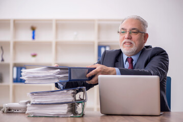 Old male boss employee working in the office