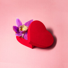 Flower growing from heart shaped box on pastel light pink background. Modern Valentine's Day concept. Creative love idea. Minimalistic Mother's Day composition.
