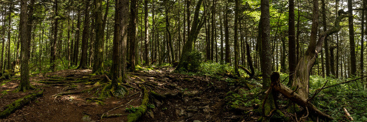 Panorama of Trail Heading Up To Mount Sterling