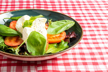 Close up of caprese salad on checkered tablecloth table. High quality photo