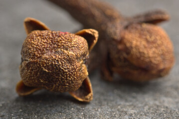 Brown dried cloves, textured on a gray stone background.