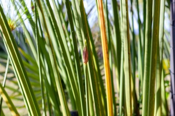 The birth of new life in nature