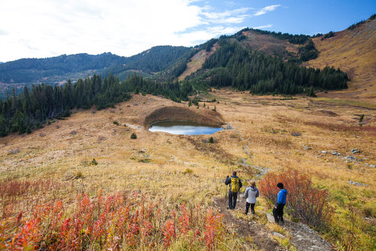 Three active people hike through golden alpine meadow.