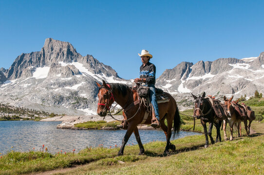 Horse paker leads pack train along lake with mountain in background