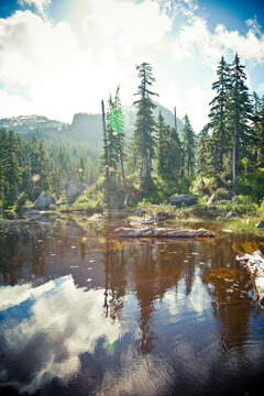 Vicar Lake, Vancouver, British Columbia, Canada.