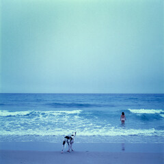 A nude woman walks into the ocean surf while her great dane waits (Tungsten film used - Blue toned).
