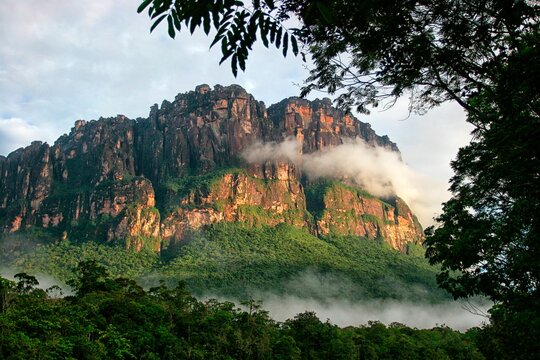 Mount Roraima, also known as Roraima tepui, Mount Roraima Roraima or just with 2810 meters, is the highest plateaus chain tepuis (table mountains) saw Pacaraima point in South Amer