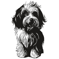 Havanese dog hand drawn line art vector drawing black and white logo pets illustration