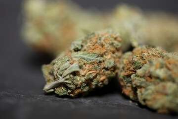 Medical marihuana buds close up background cannabis sativa super lemon haze big size high quality dope prints