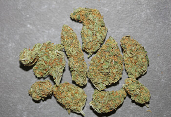 Medical marihuana buds close up background cannabis sativa super lemon haze big size high quality...