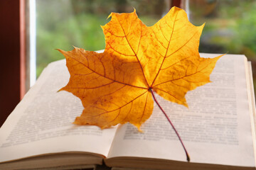 Book with autumn leaf as bookmark, closeup