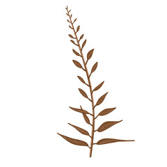 Leaf. Branch with Leaves. Floral Illustration. Hand drawn wild elegant herb. Sketch Drawing Icon