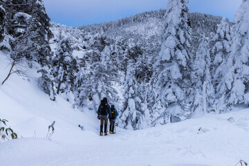 雪の北八ヶ岳 縞枯山スノーハイク