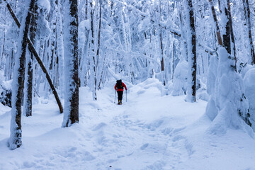 雪の北八ヶ岳 縞枯山スノーハイク