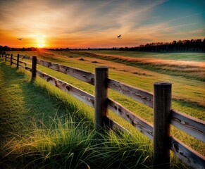Fototapeta premium sunset over a field of wheat and trees with fences, agriculture, background, beautiful, blue, cloud, clouds, country