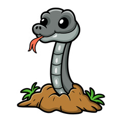 Fototapeta premium Cute black mamba snake cartoon out from hole