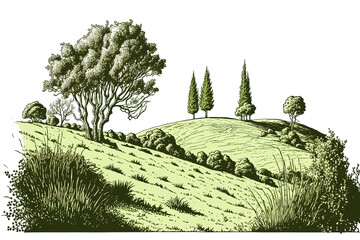 Field of lush grass on gentle slopes. Pasturage, grassland, pommel, lea, alkali, lye, and meadow. Grassy grassland in a rural landscape view. Sketch illustration in form. Generative AI - obrazy, fototapety, plakaty