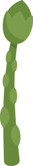 Spring asparagus icon flat vector. Vegetable plant. Organic raw isolated
