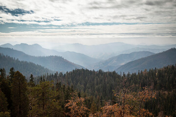 Fototapeta na wymiar Blue mountains at Sequoia National Park