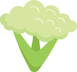 Salad brocoli icon flat vector. Vegetable broccoli. Food plant isolated